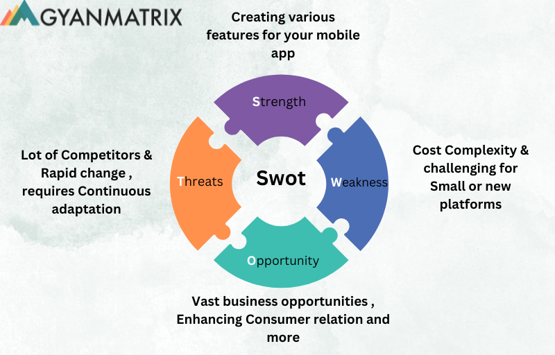 The efficiency of Salesforce app development through a SWOT analysis